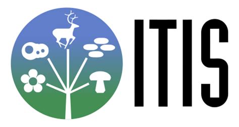 itis gov|sistema integrado de información taxonómica.